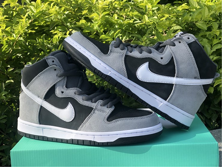from Nike Dunk SB High 854851 010