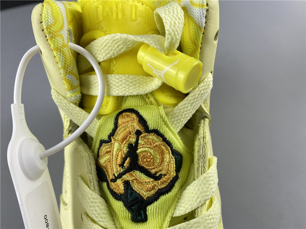 Air Jordan 6 543390-800