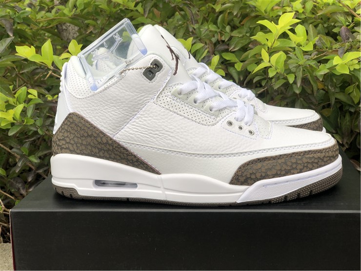 Air Jordan 3 Mocha