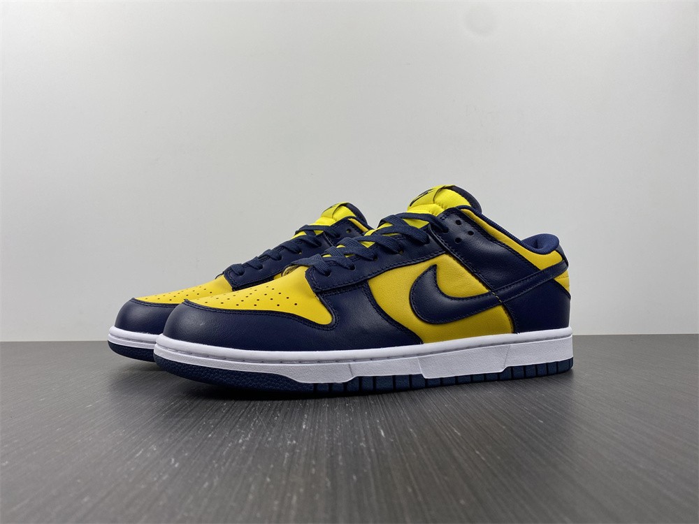 from Nike SB Dunk Low Michigan DD1391-700