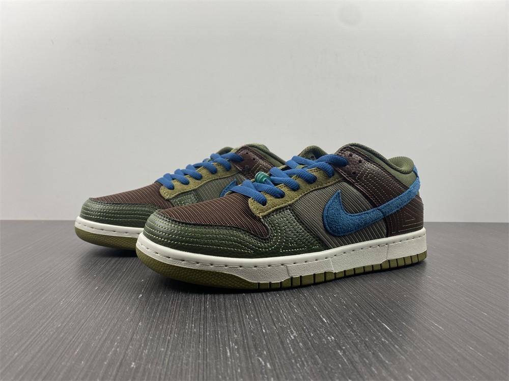 from Nike SB Dunk Low DR0159-200