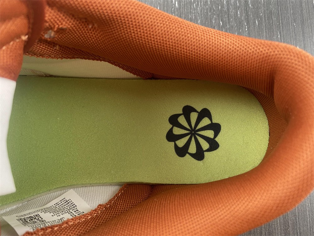 from Nike SB Dunk Low DR5475-100