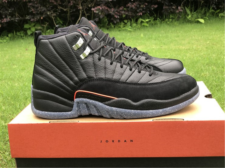 Air Jordan 12 DC1062 006