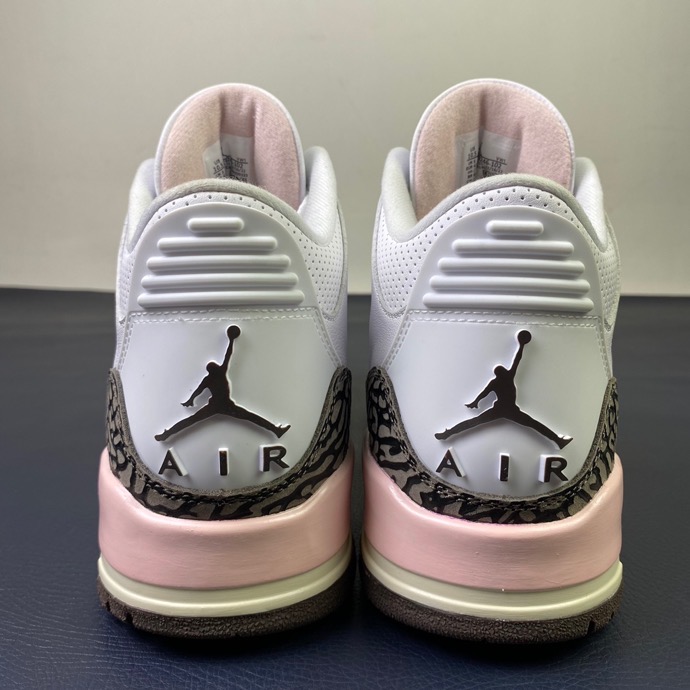 Air Jordan 3 NEAPOLITAN