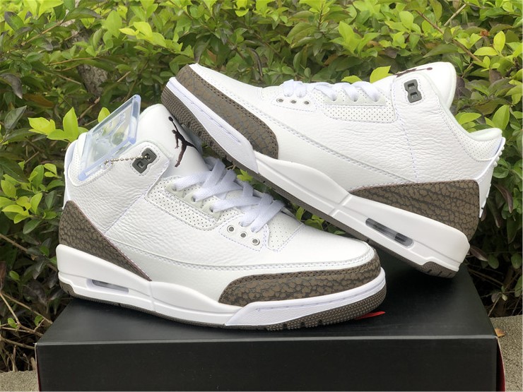 Air Jordan 3 Mocha