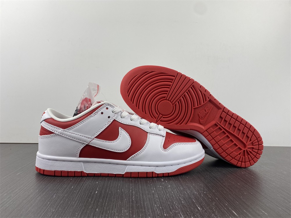 from NIKE DUNK LOW RETRO DD1391-600