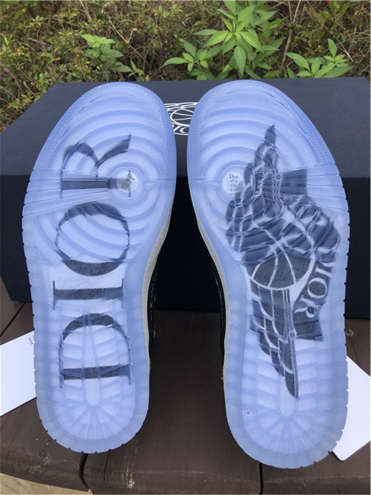 Air Jordan 1 Retro Low D*ior