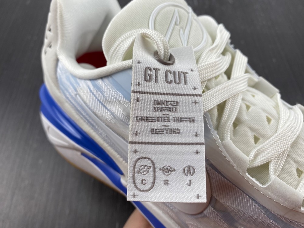 from Nike Air Zoom GT Cut 2