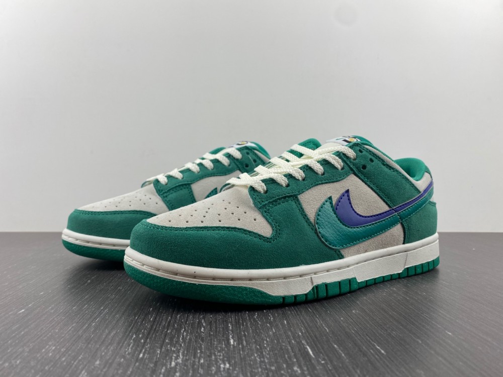 from Nike SB Dunk Low DO9457-101