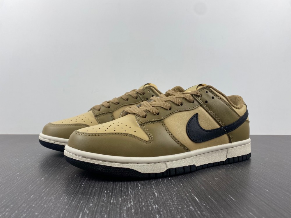 from Nike SB Low Dark Driftwood DD1503-200