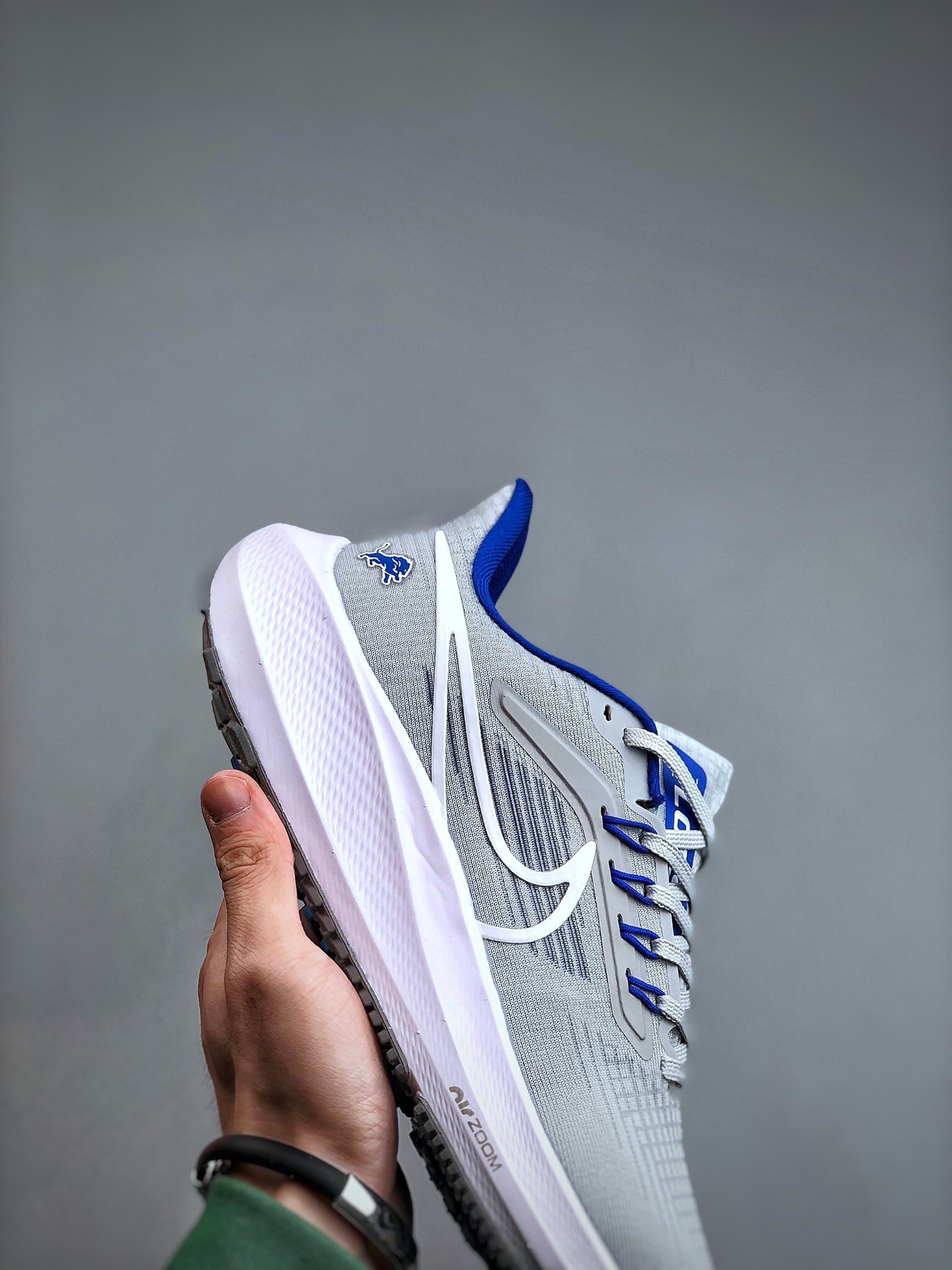 Men Nike zoom pegasus 39