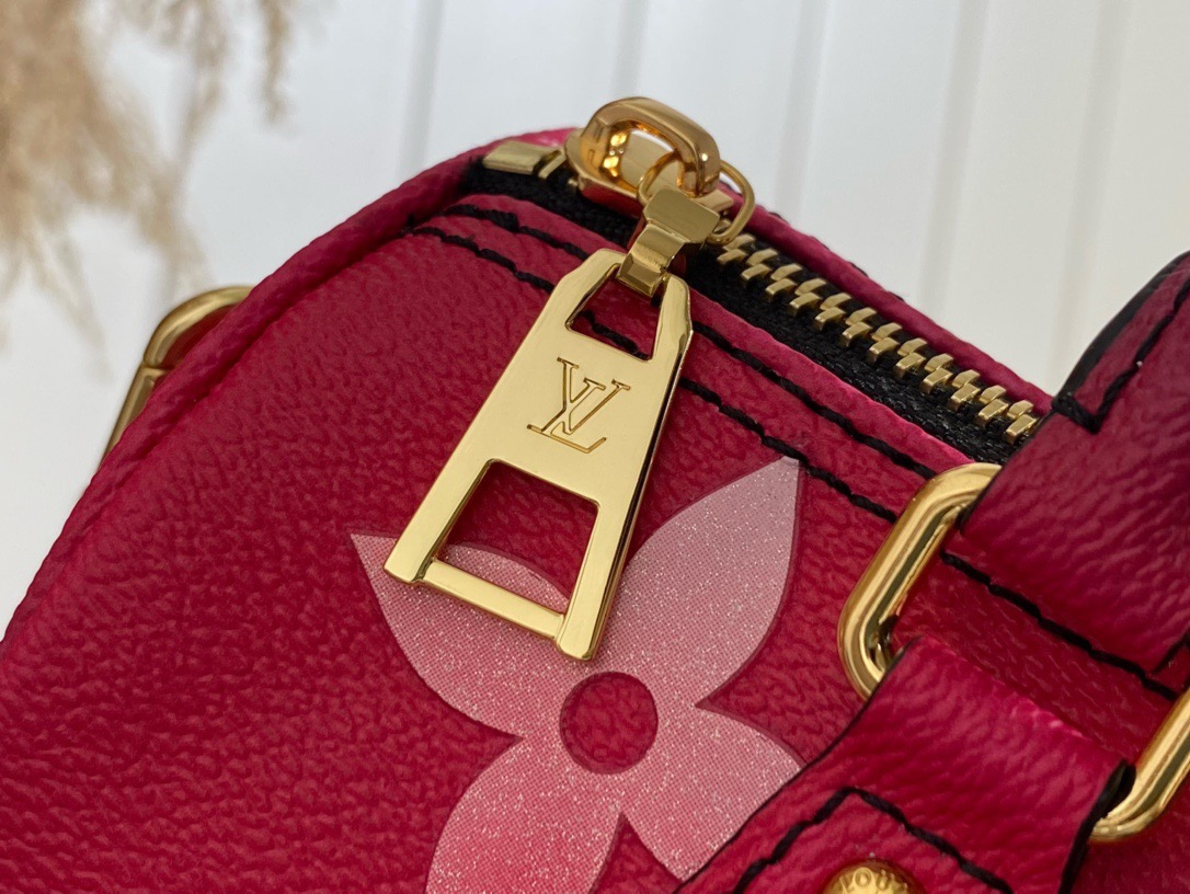 L*ouis V*uitton m59860 Top Bag