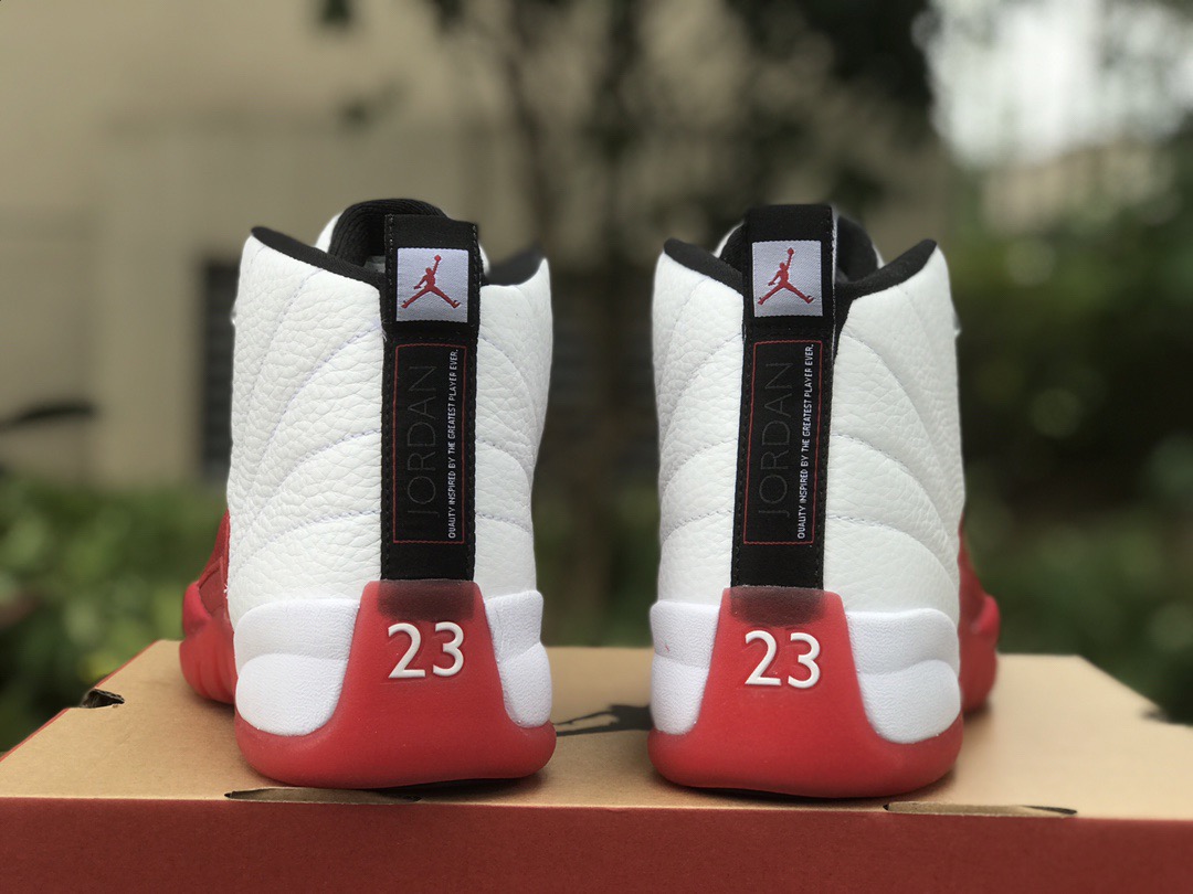 Air Jordan 12