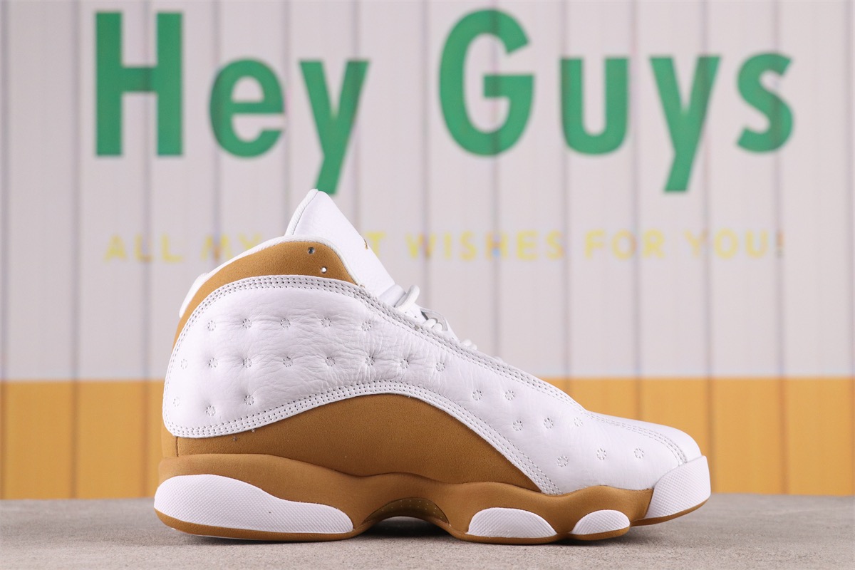 Air Jordan 13