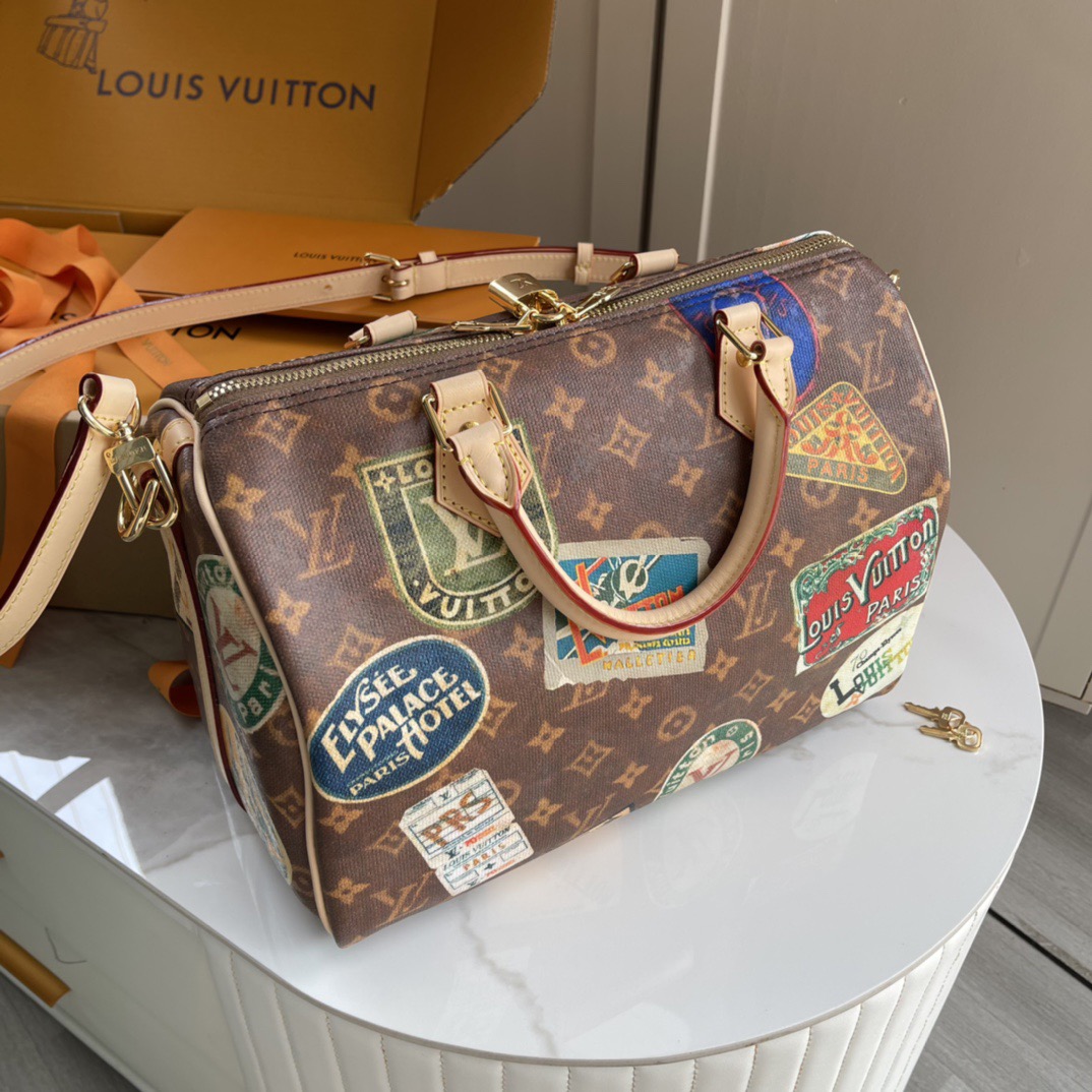 L*ouis V*uitton Top Bag