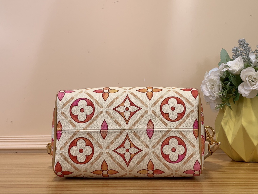 L*ouis V*uitton Top Bag