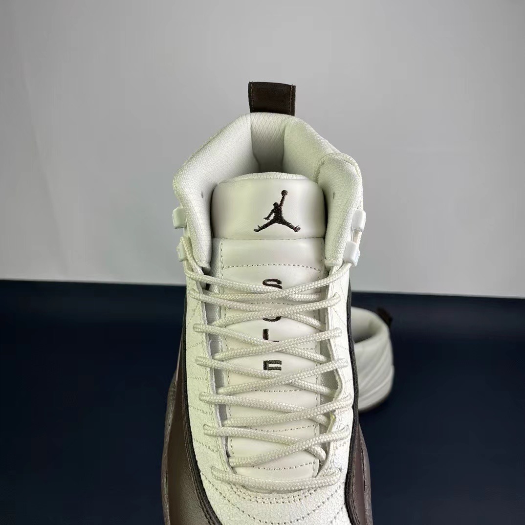 Air Jordan 12